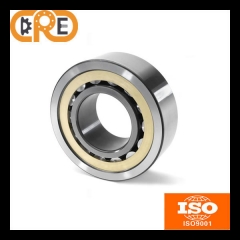 Standard Single Row Cylindrical Roller Bearing